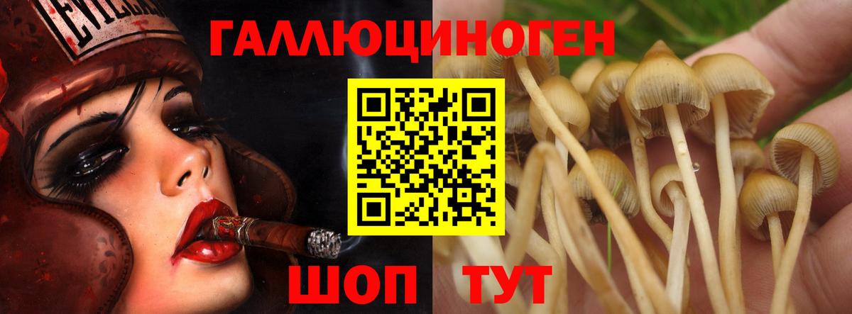 Галлюциногенные грибы Cubensis  Вход с VPN  Вышний Волочёк 