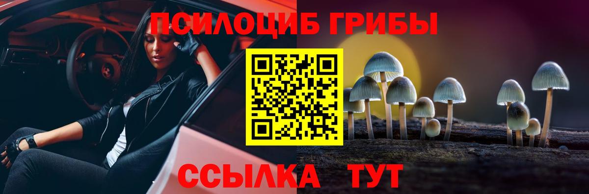 Галлюциногенные грибы GOLDEN TEACHER Вышний Волочёк